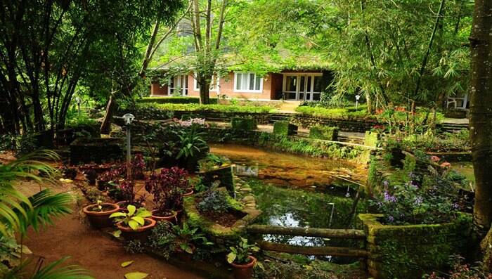 Ambady Palmgrove Club, Kochi 5